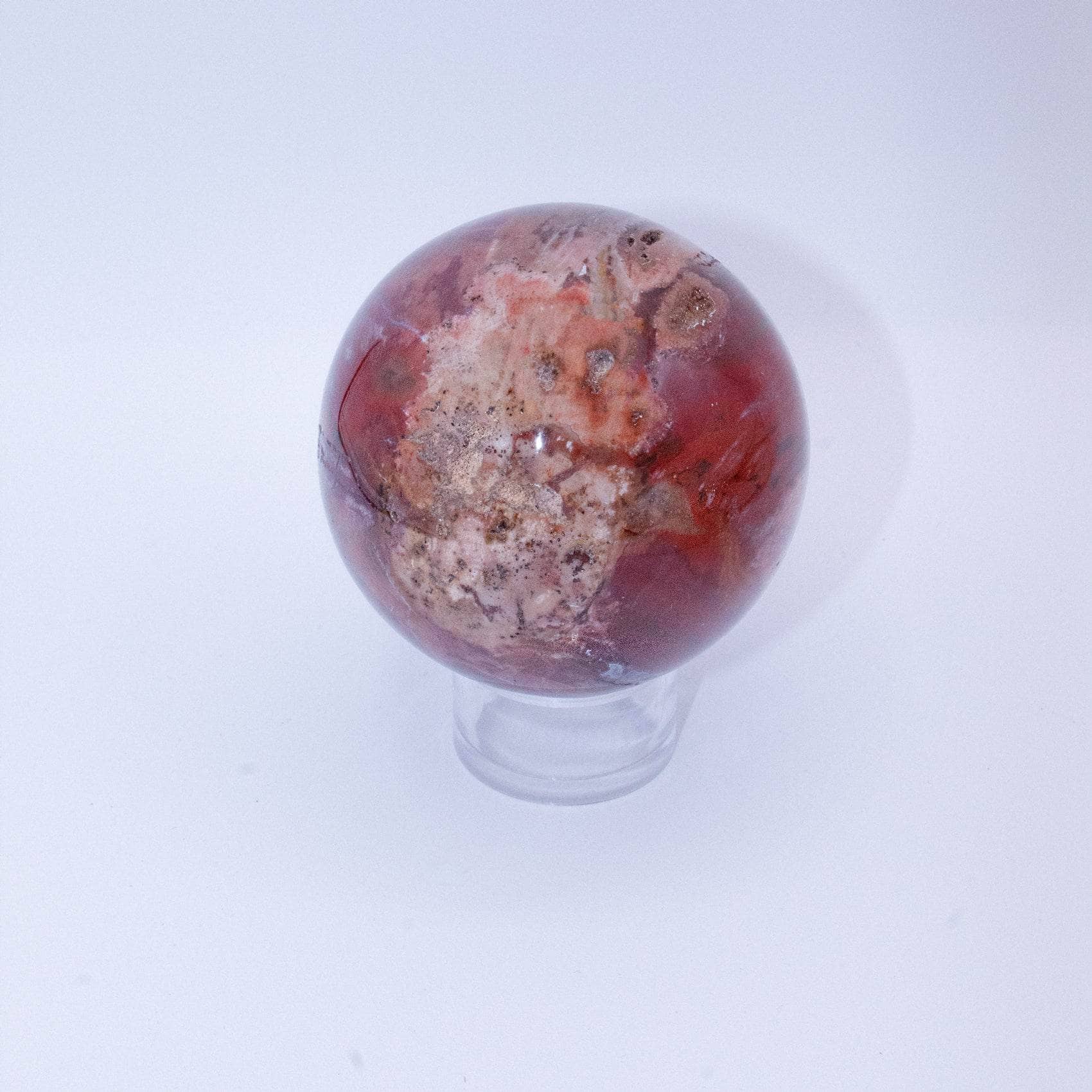 Petrified Wood Sphere - AAA Premium Quality、mySite、hinf8tx79