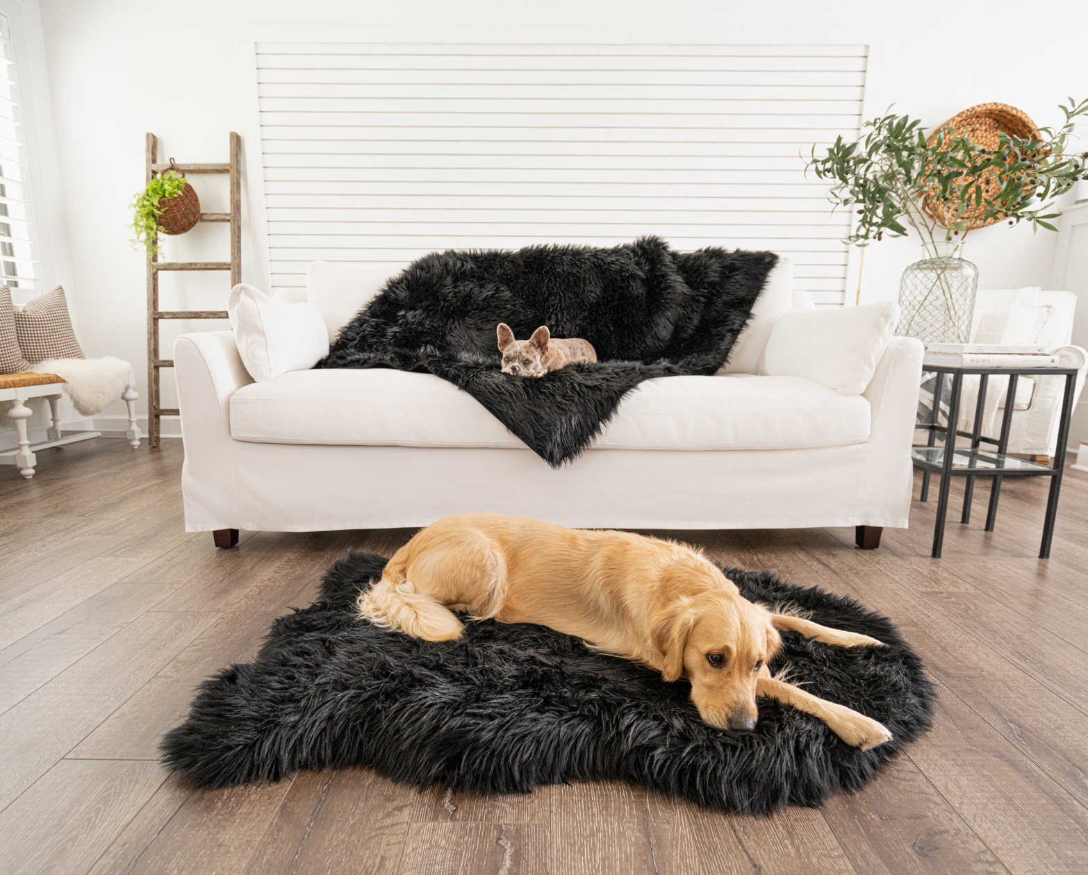 PupRug™ Bundle - Orthopedic Bed Curve, Midnight Black + Matching Waterproof Blanket、mySite、solidvoid