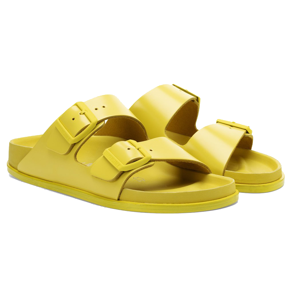 1774 Arizona、mySite、gtrtttuynbv