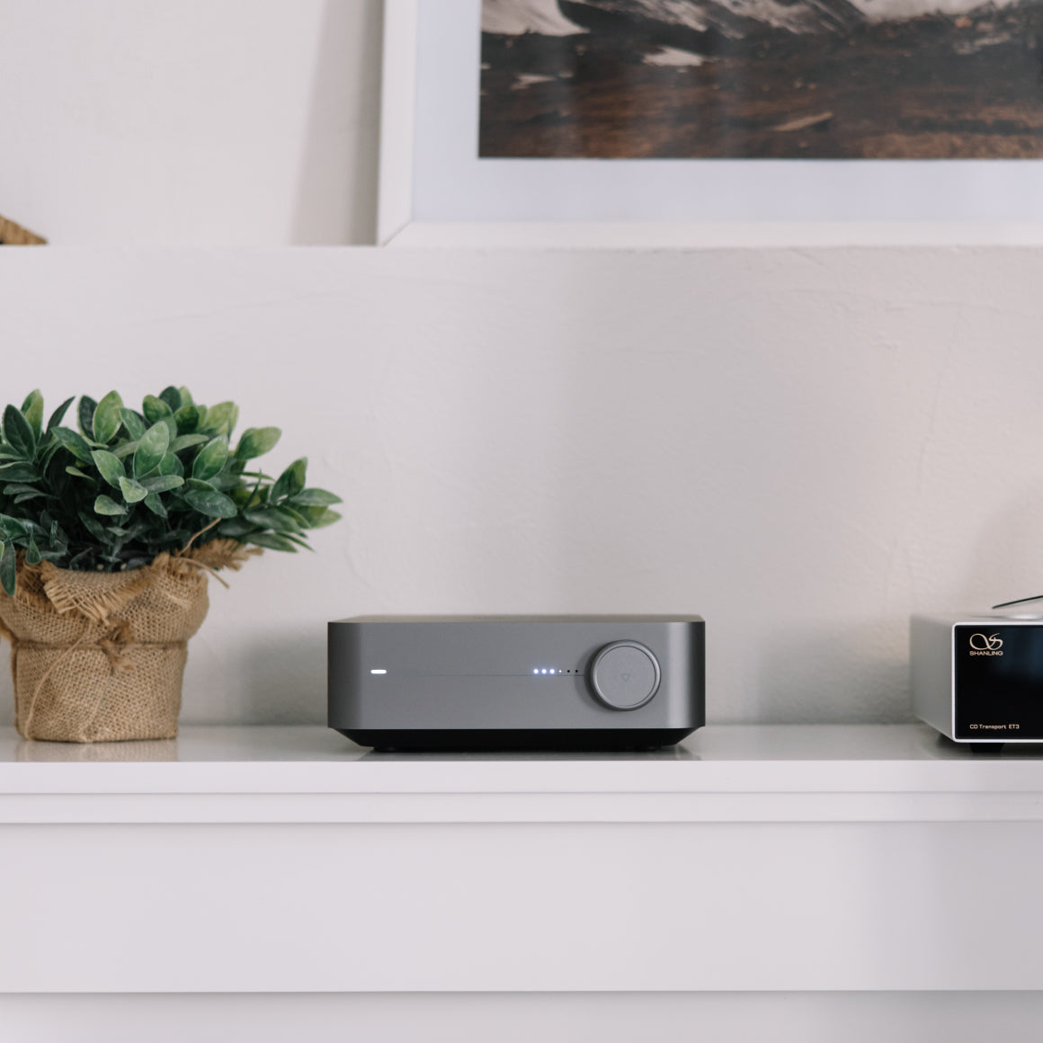  WiiM - Amp / Amp Pro、mySite、merchandisen