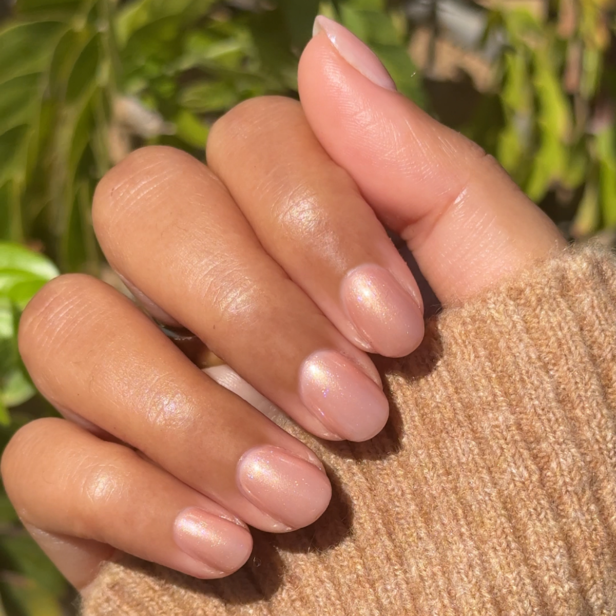 Cookie Swap、mySite、solidvoid