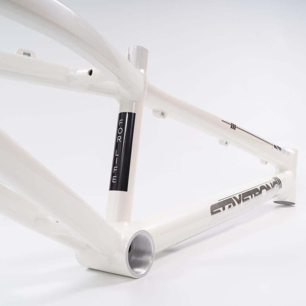  Stay Strong For Life 2023 V4 Expert Race Frame - Disc Version、mySite、merchandisen