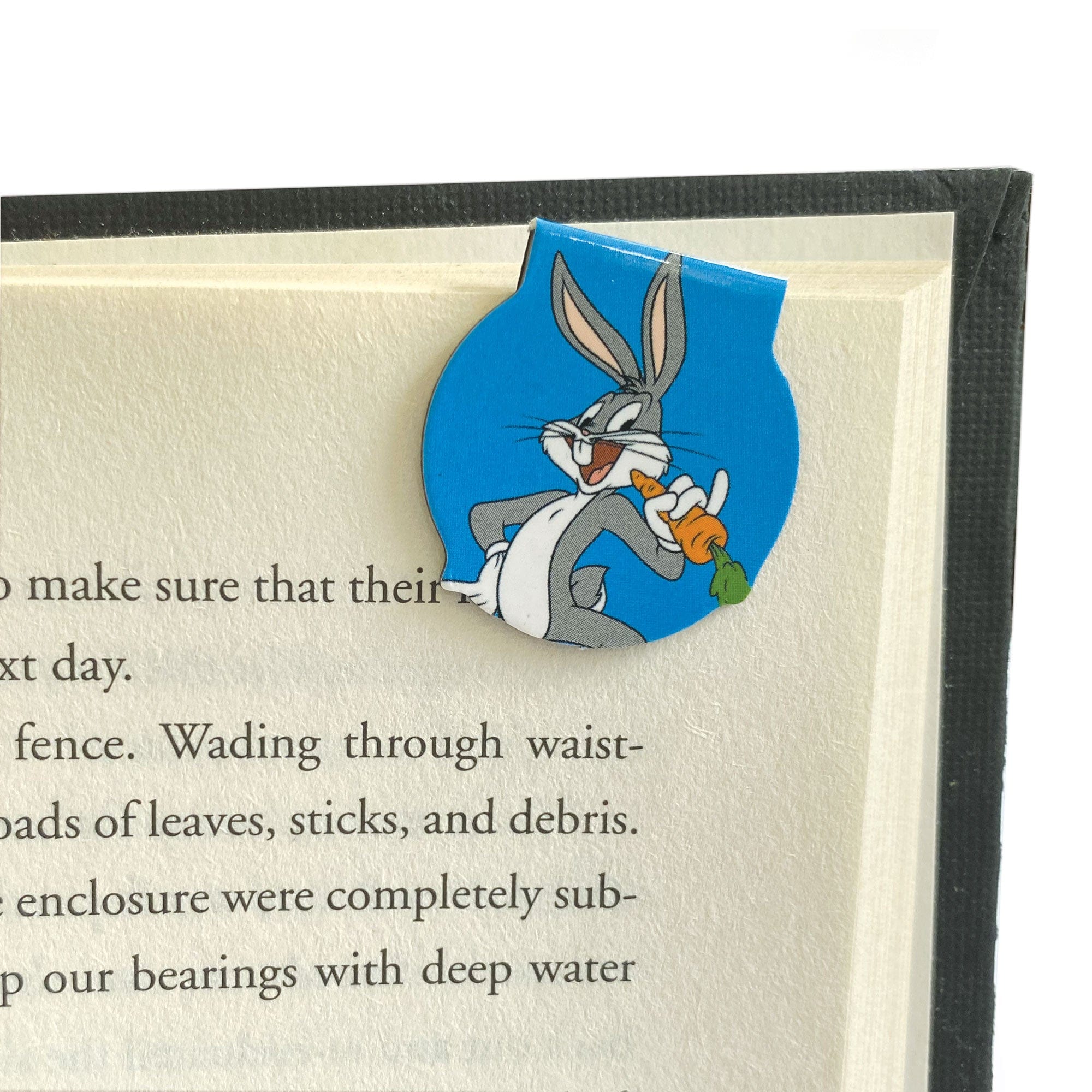  Looney Tunes Magnetic Bookmarks、mySite、ghnorth