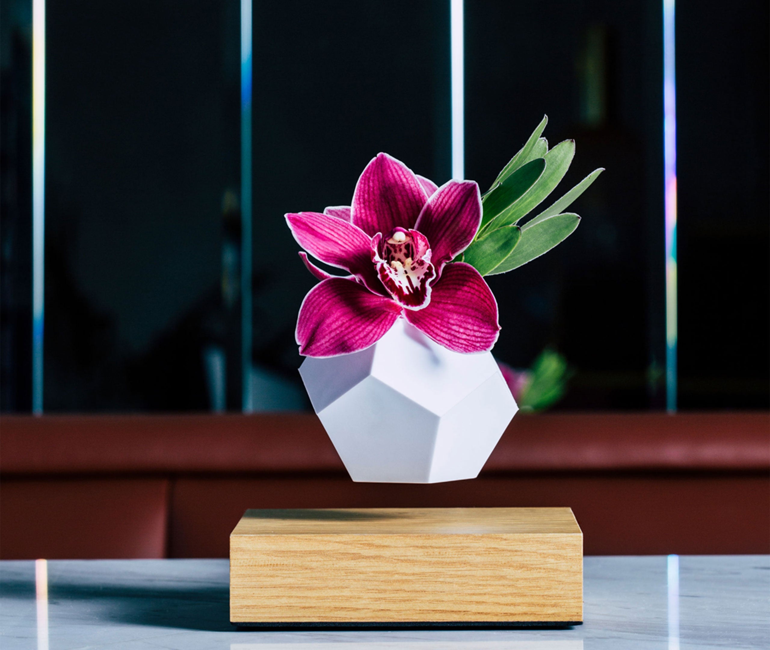 Lyfe Planter - Oak、mySite、topwebapps