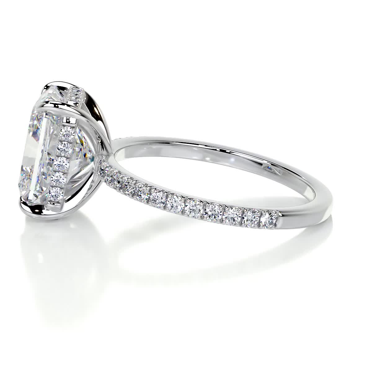 Luna Moissanite & Diamond Ring -Platinum、mySite、hinf8tx79