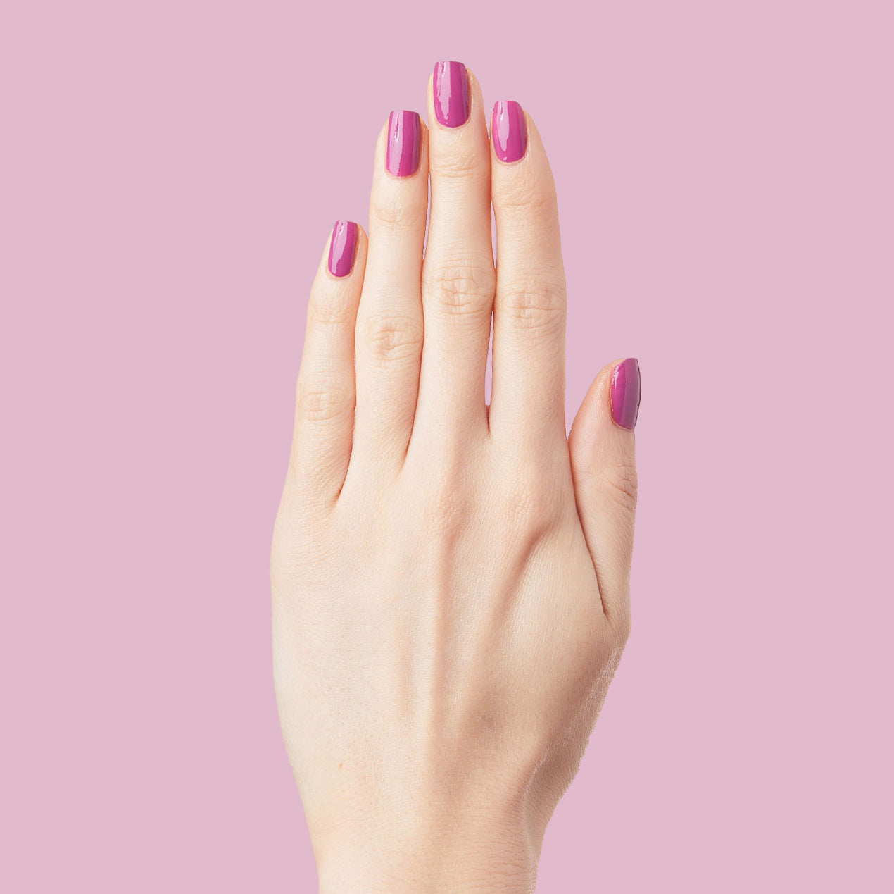 TLG、mySite、solidvoid