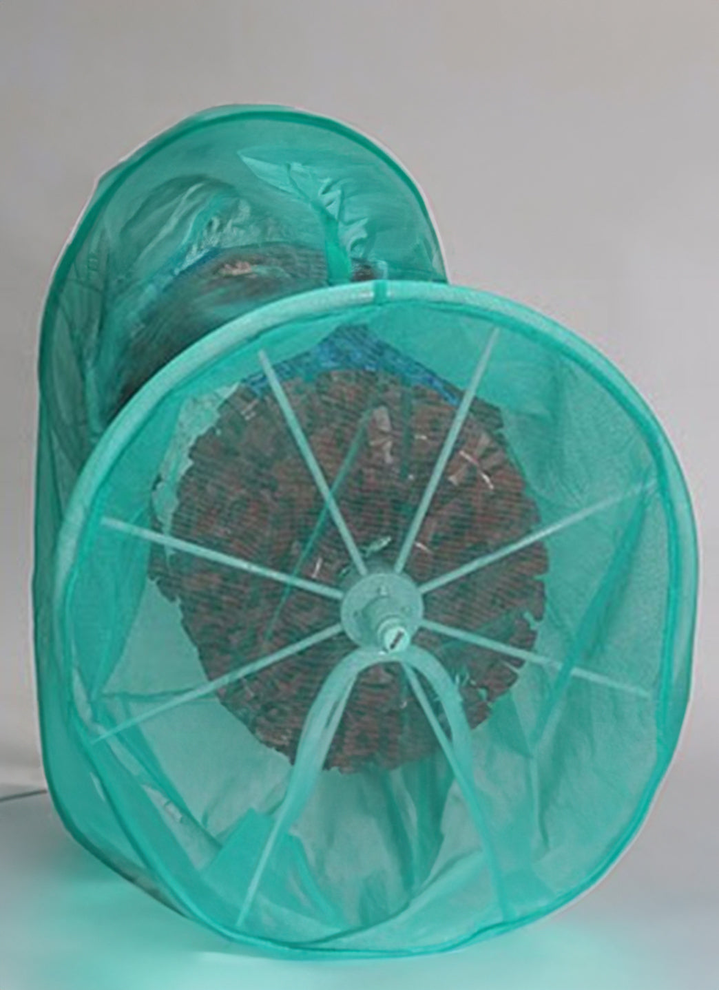 AntiWave Ultimate Storeel Cover、mySite、noshort