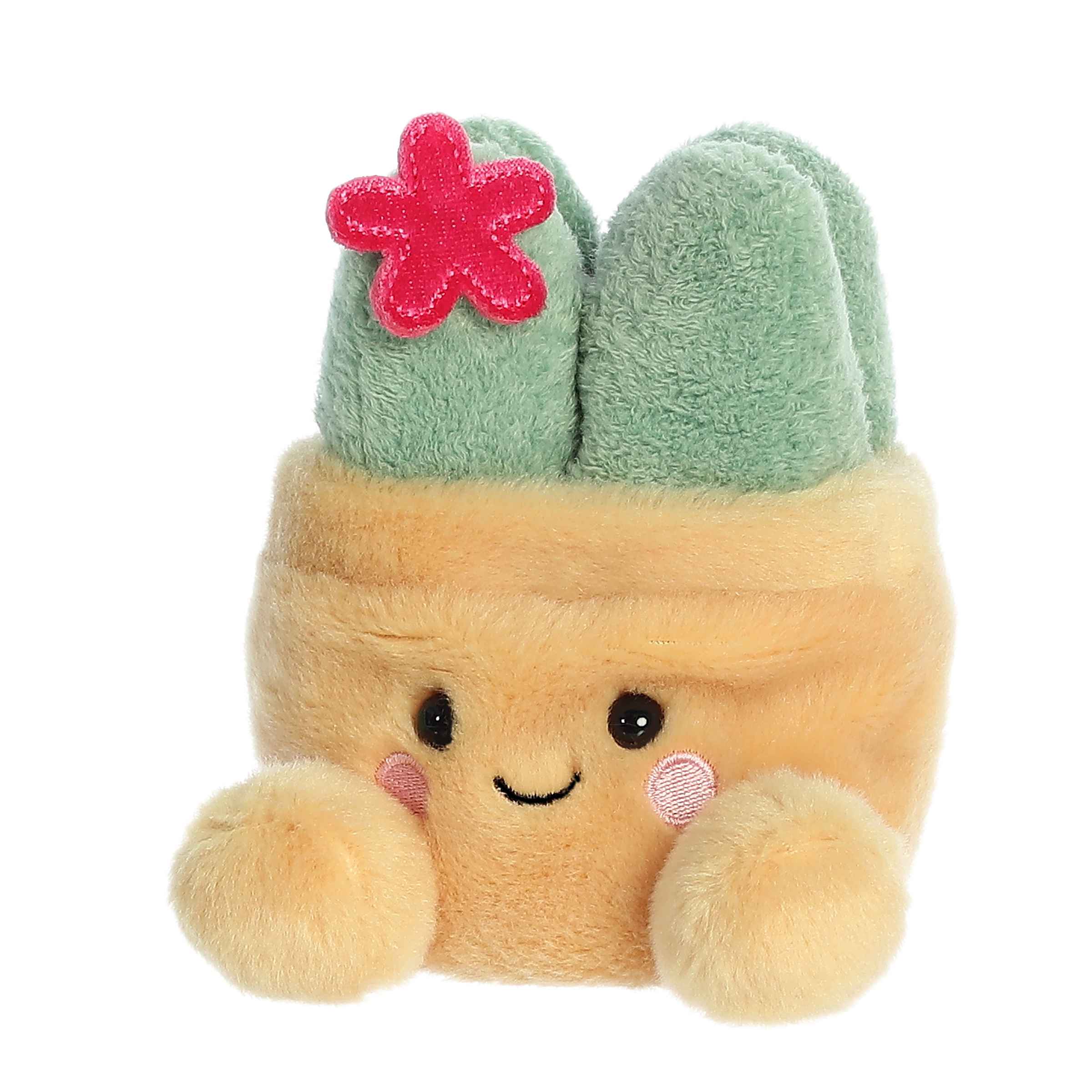 Aurora® - Palm Pals™ - 5 Seyla Succulent ™、mySite、g9winljtr