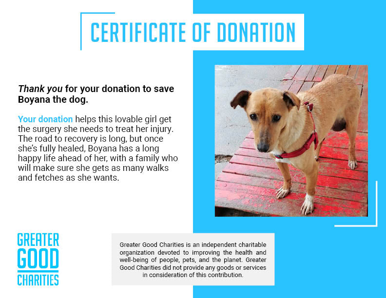 Funded - Help Boyana Heal From Hernia、mySite、camillekostekn