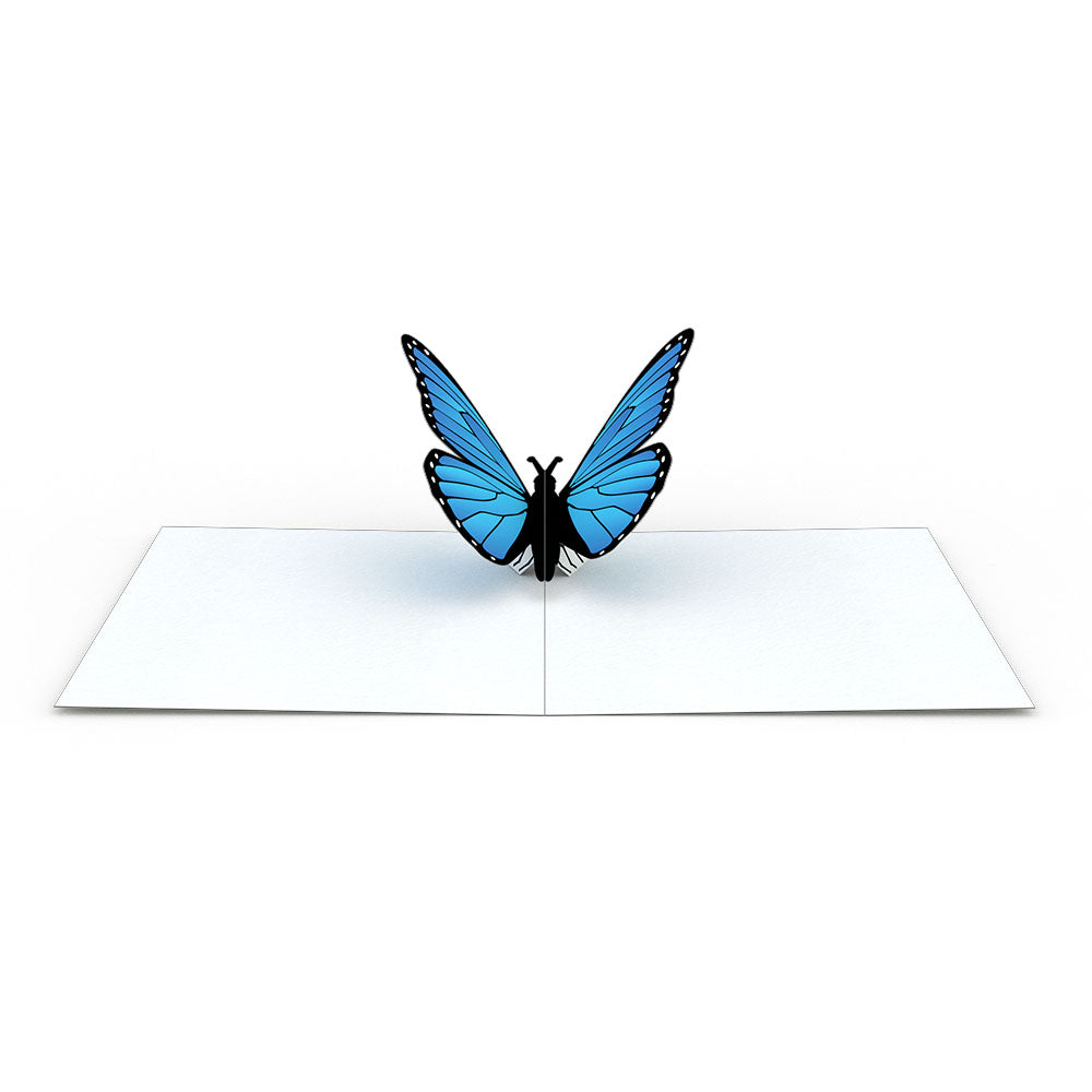 Butterfly Notecards (Assorted 4-Pack)、mySite、solidvoid