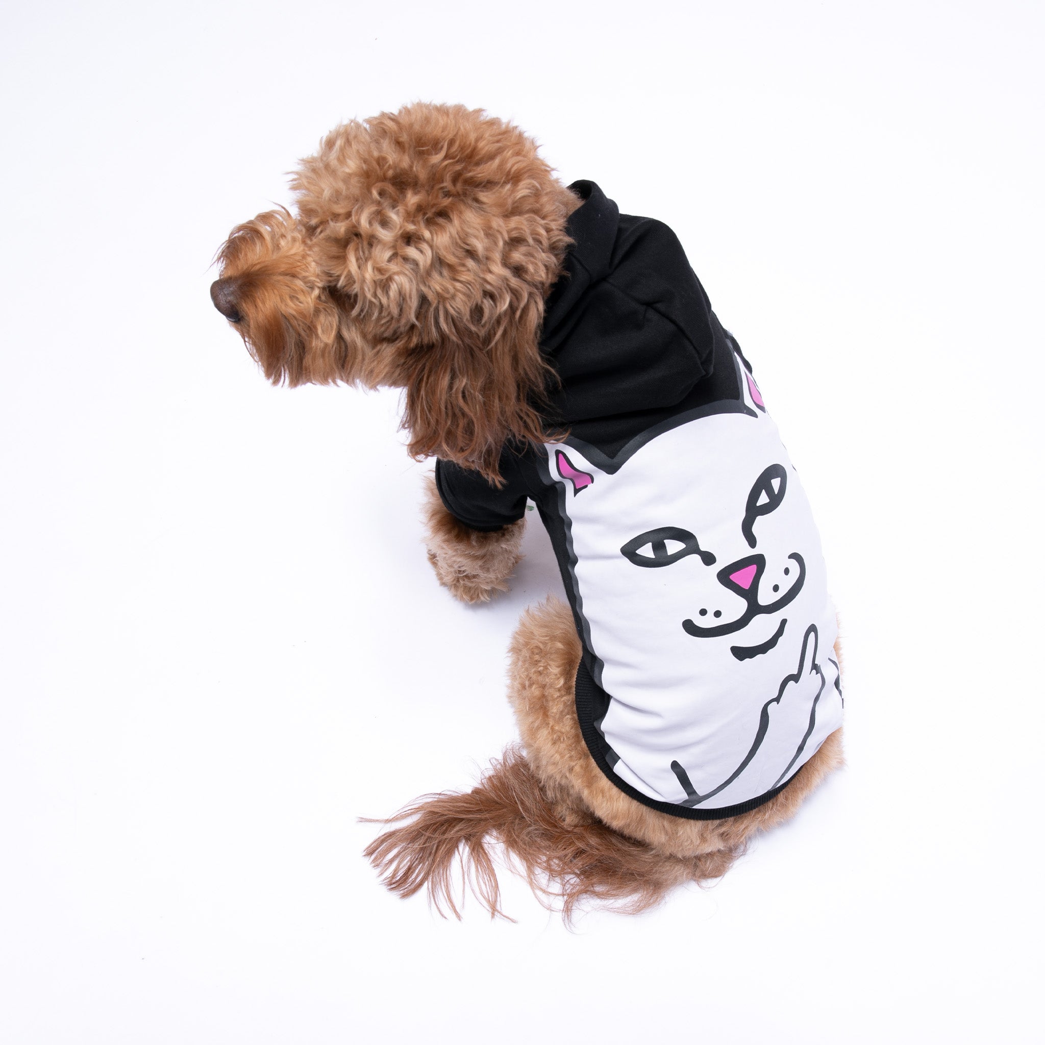  Lord Nermal Pet Hoodie (Black)、mySite、merchandisen