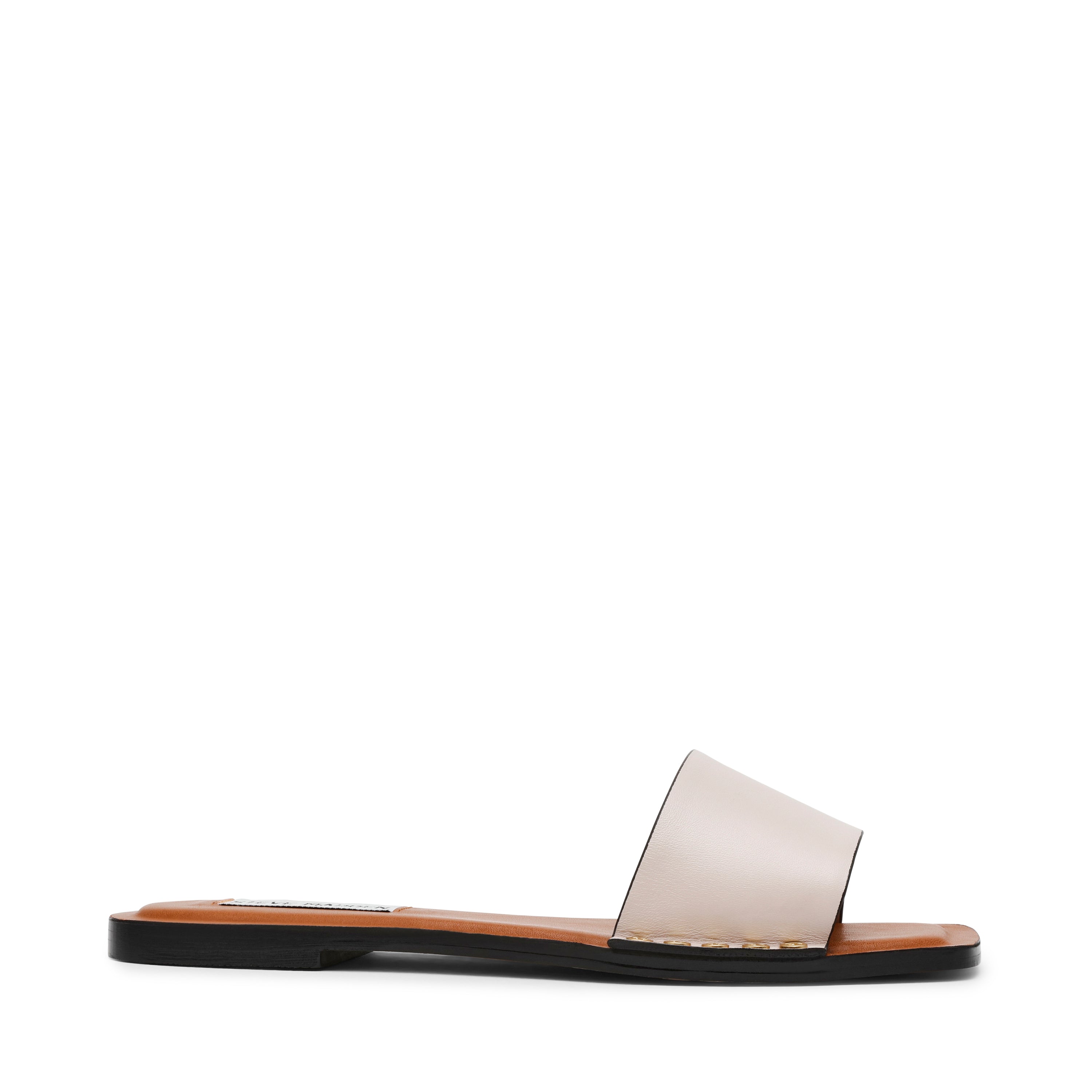 KAPITOL BONE LEATHER、mySite、dreamappss