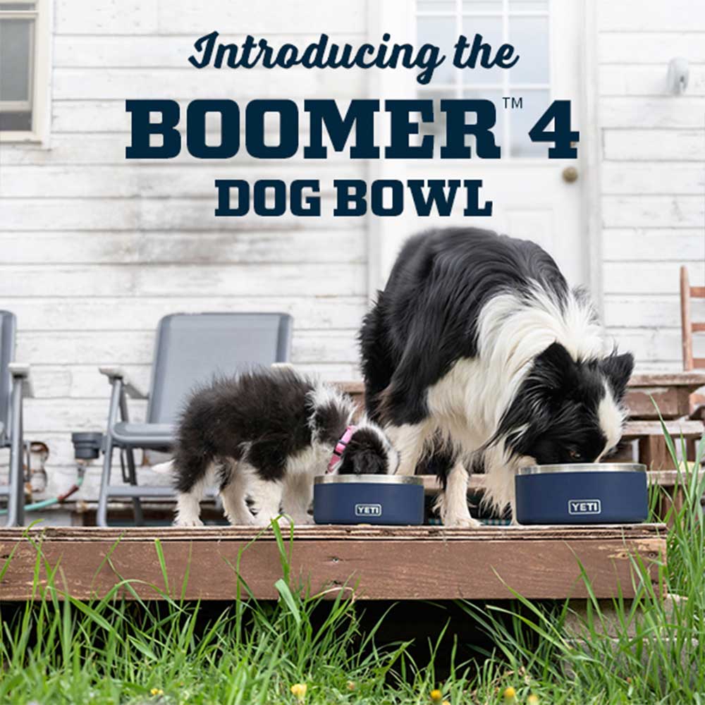 YETI Boomer 4 Dog Bowl、mySite、noshort