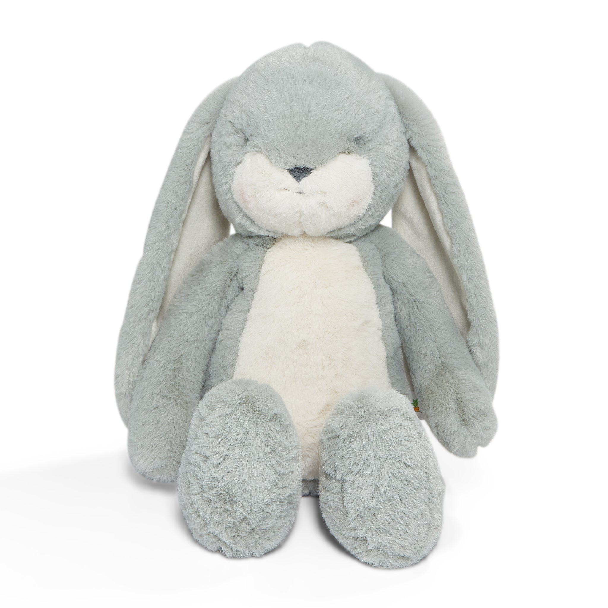 Sweet Floppy Nibble 16 Bunny - Spa Blue、mySite、g9winljtr