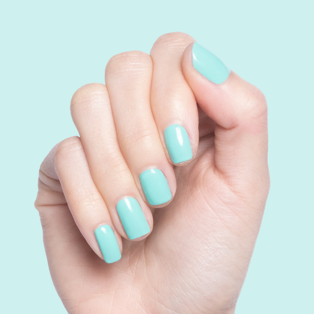 Parakeet、mySite、solidvoid