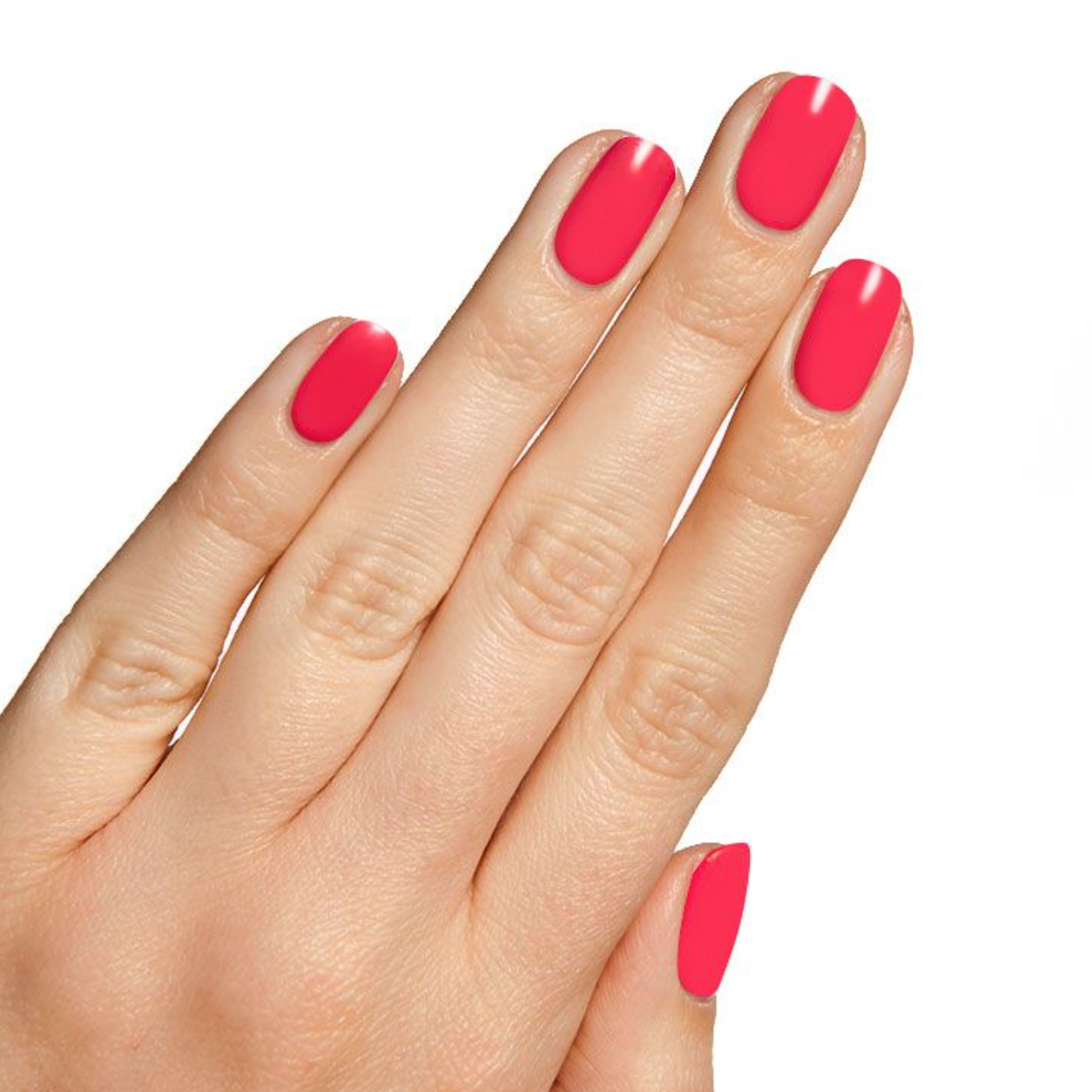 HIBISCUS - Part of Set、mySite、solidvoid