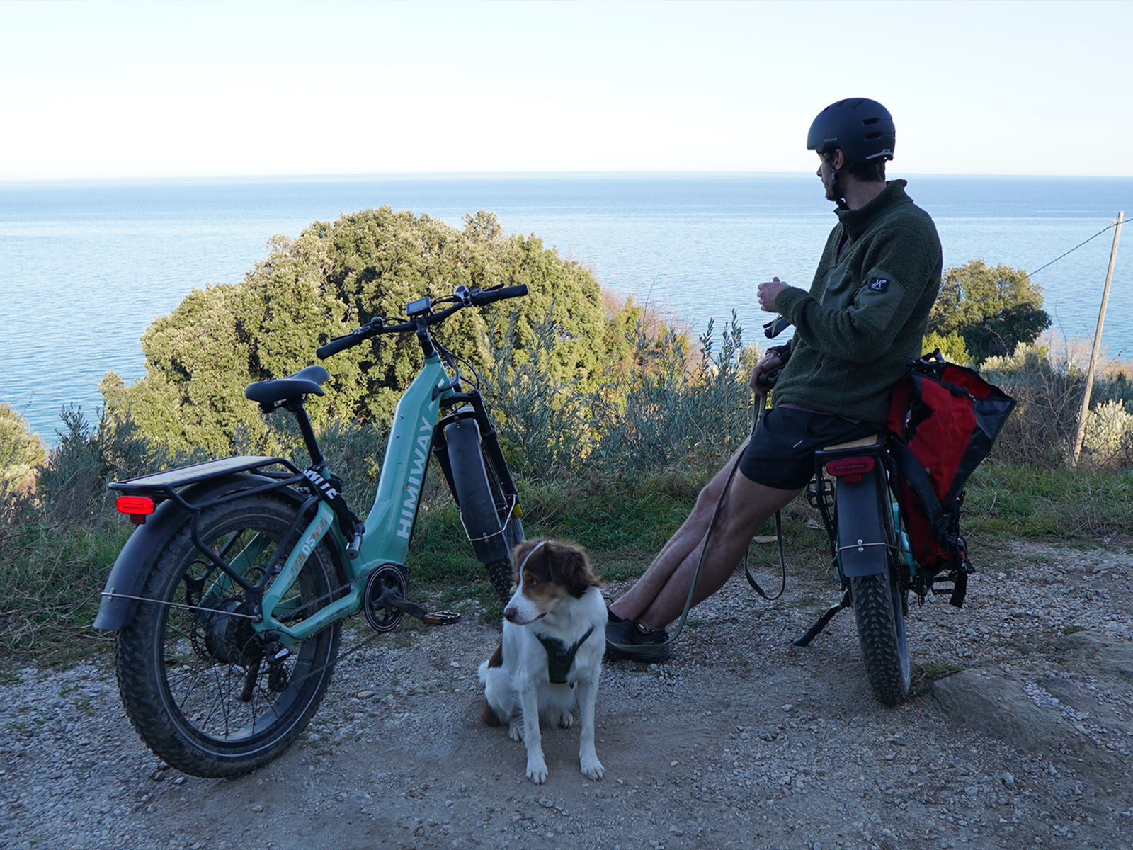  D5 ST(Zebra ST) / Premium All-terrain Electric Fat Bike、mySite、ghnorth