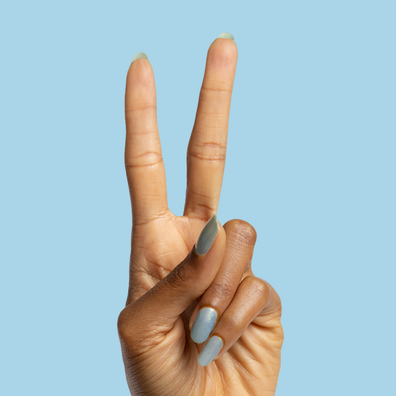 Sequin Everything、mySite、solidvoid