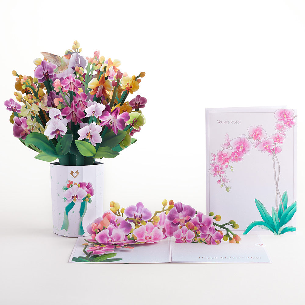 Mother's Day Orchid Bundle、mySite、solidvoid
