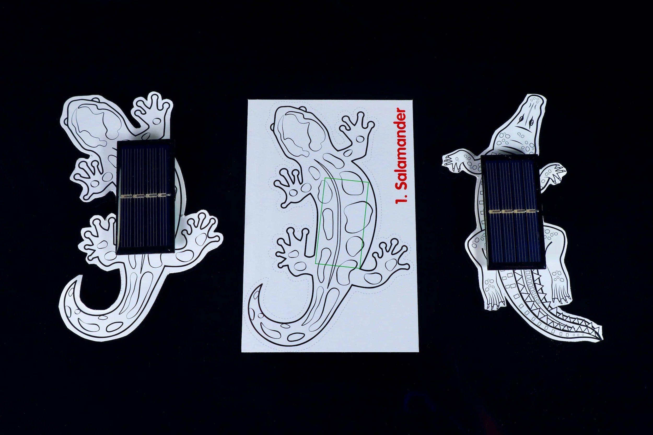 Solar Critters、mySite、lovesweatpilates