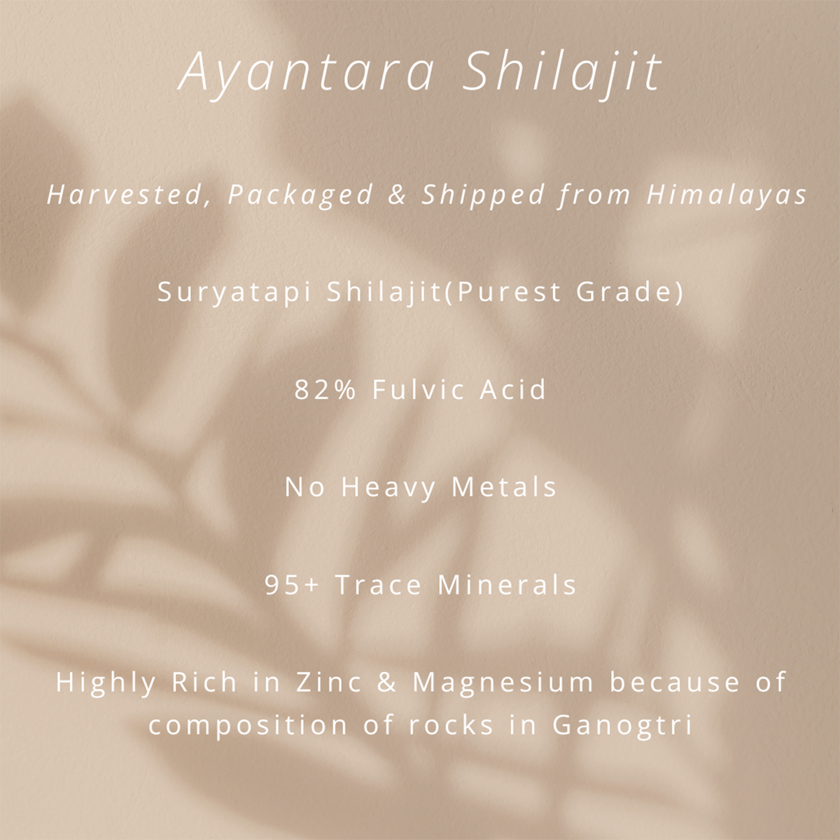 Himalayan Shilajit Resin | Strength, Stamina & Immunity | 20 g、mySite、camillekostekn