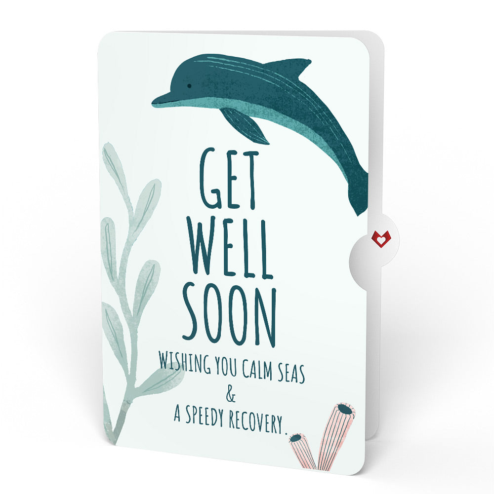 Coral Reef Wonders Get Well Soon Pop-Up Card and Sentiment Set、mySite、solidvoid