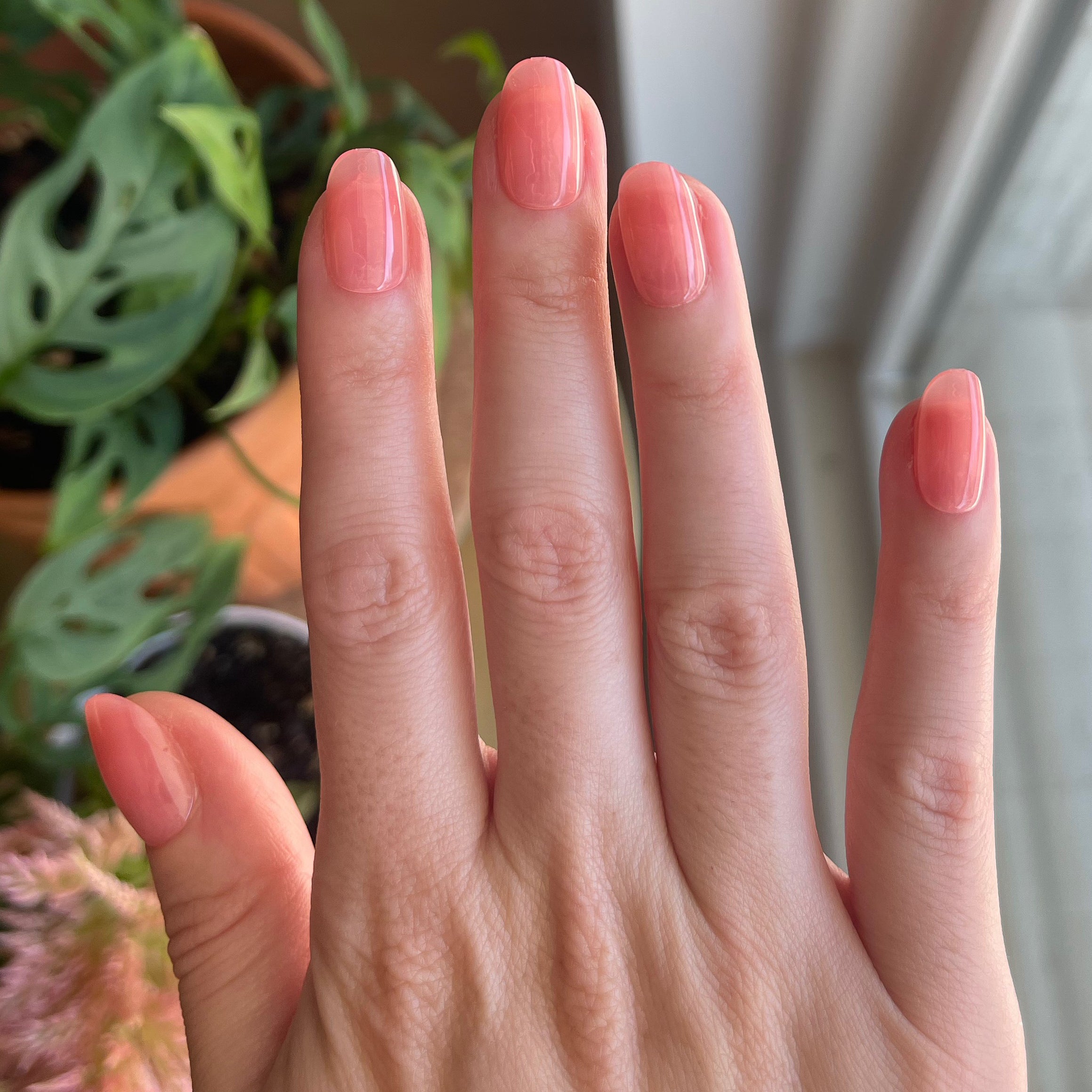 Pink Jelly - Press-On | Short | Round、mySite、solidvoid