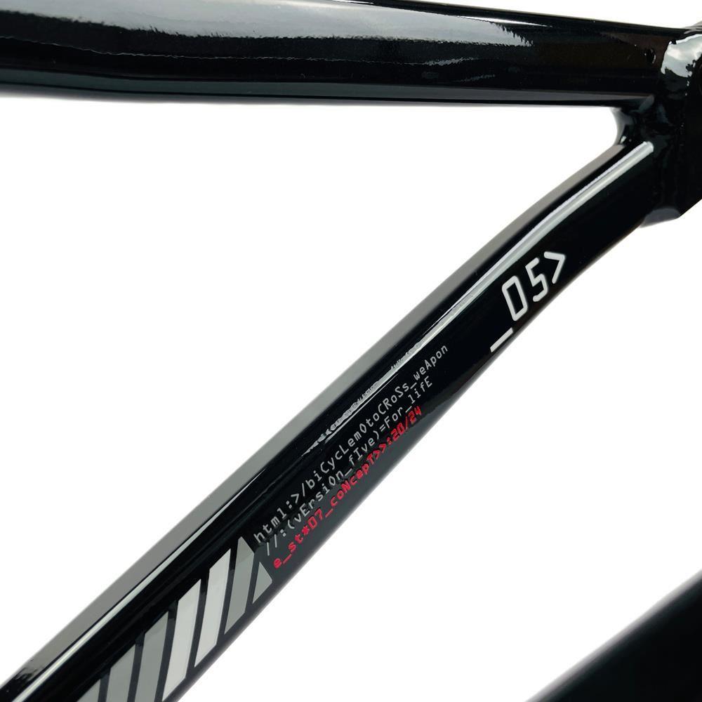  Stay Strong For Life 2024 V5 Expert Race Frame - Disc Frame、mySite、merchandisen