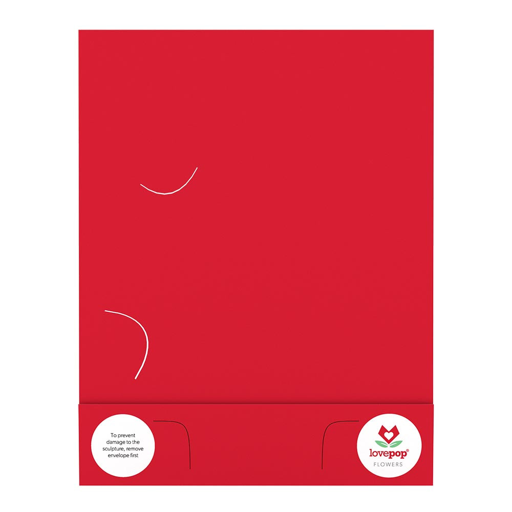 Winter Flower Basket Decoration、mySite、solidvoid