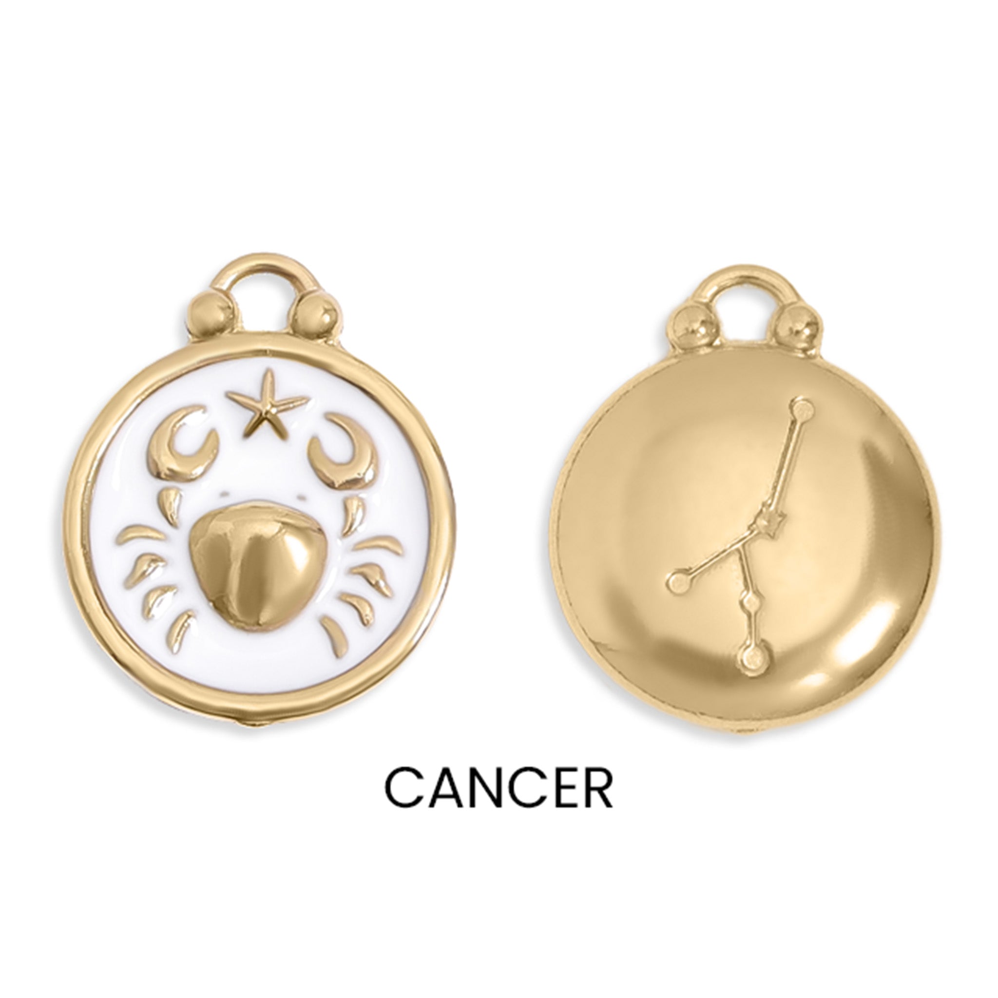 18K Gold PVD Stainless Steel Epoxy Filled Zodiac Pendants / PDL0218、mySite、dreamappss