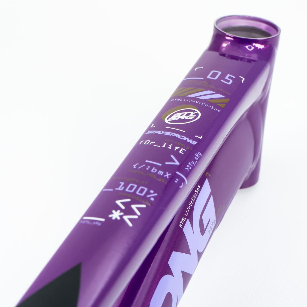  Stay Strong For Life V5 Mini Frame 2025、mySite、merchandisen