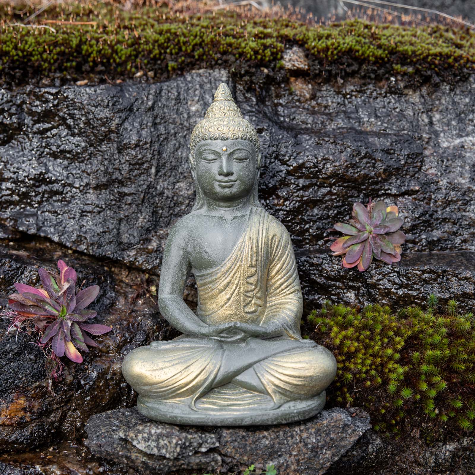Meditation Buddha Statue、mySite、topwebapps