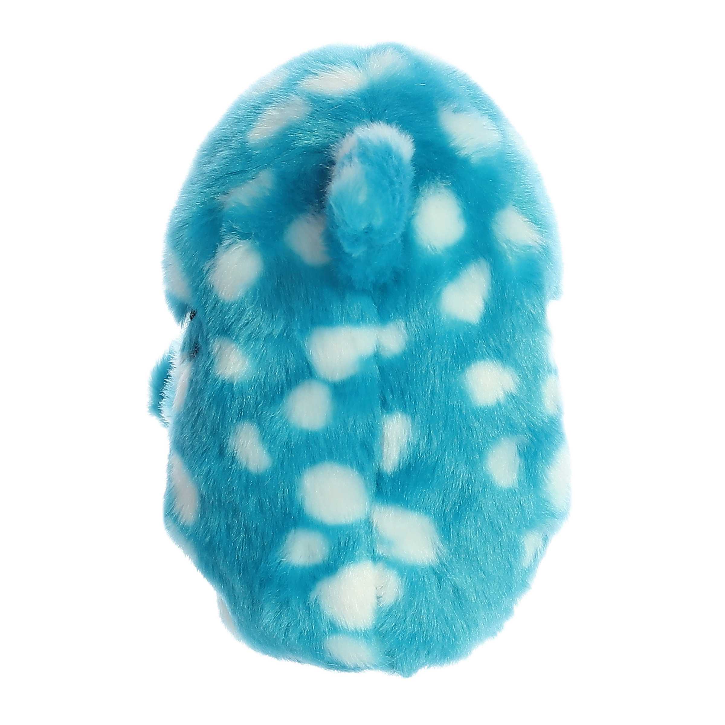 Aurora® - Rolly Pet™ - 5 Willa Whale Shark™、mySite、g9winljtr