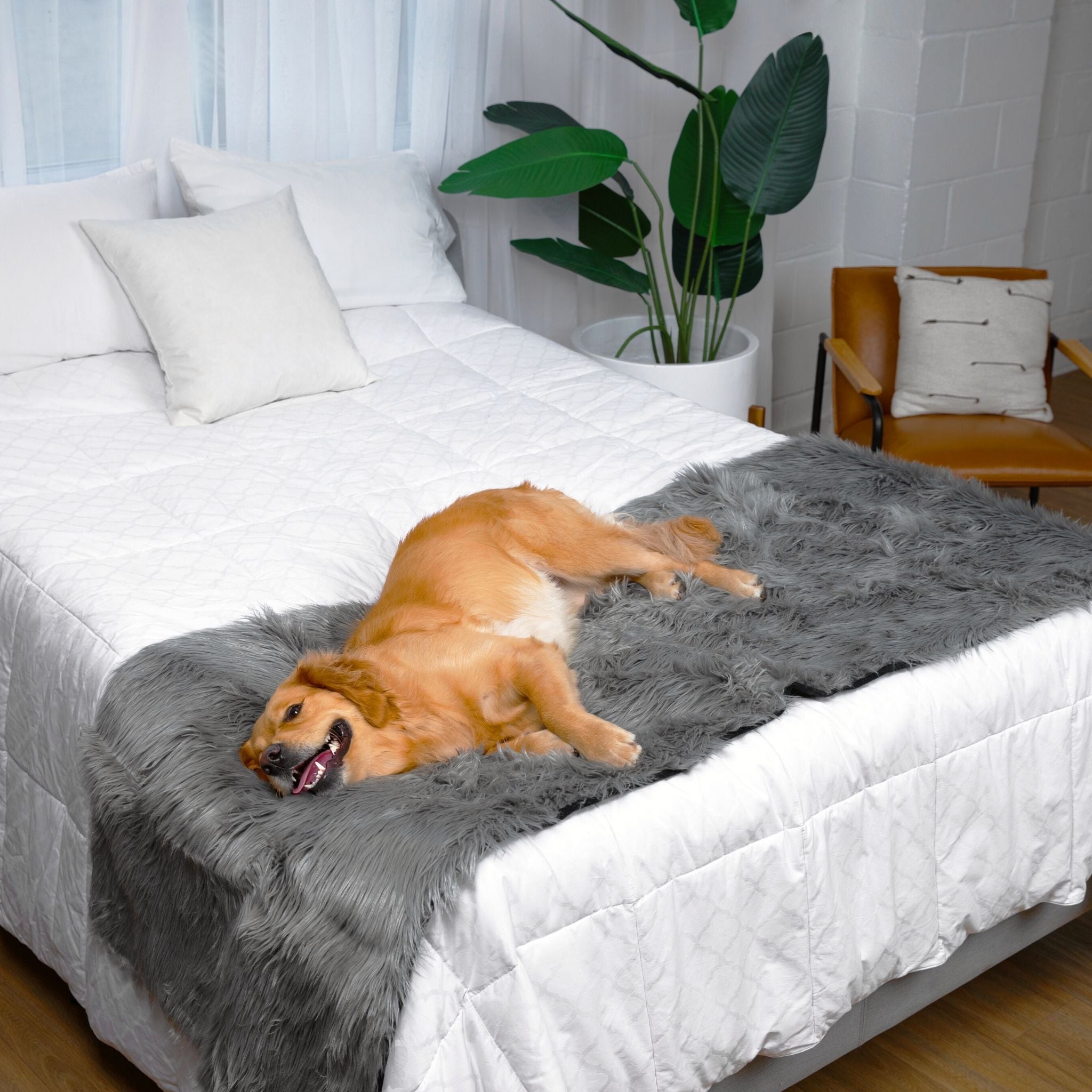 PupProtector™ Waterproof Bed Runner - Charcoal Grey、mySite、solidvoid