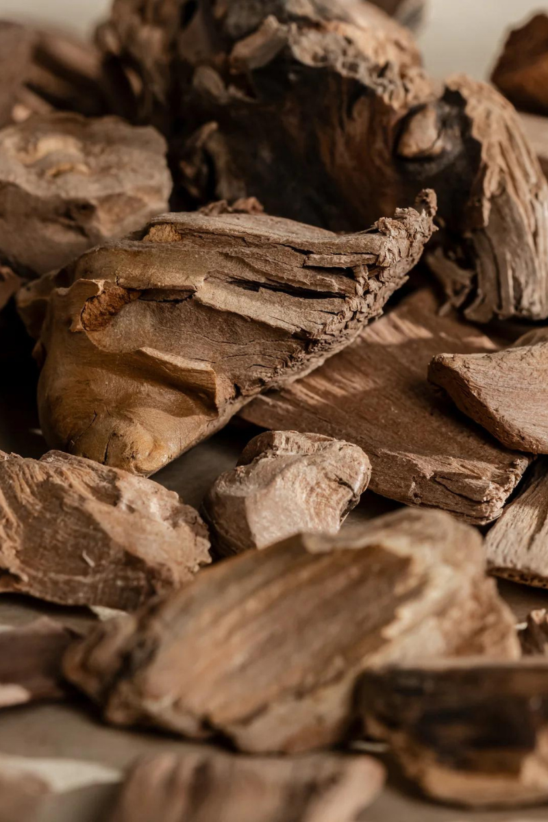 Pura Fragrance Refill - Bondi (Guy Fox Smart Vial)、mySite、hinf8tx79