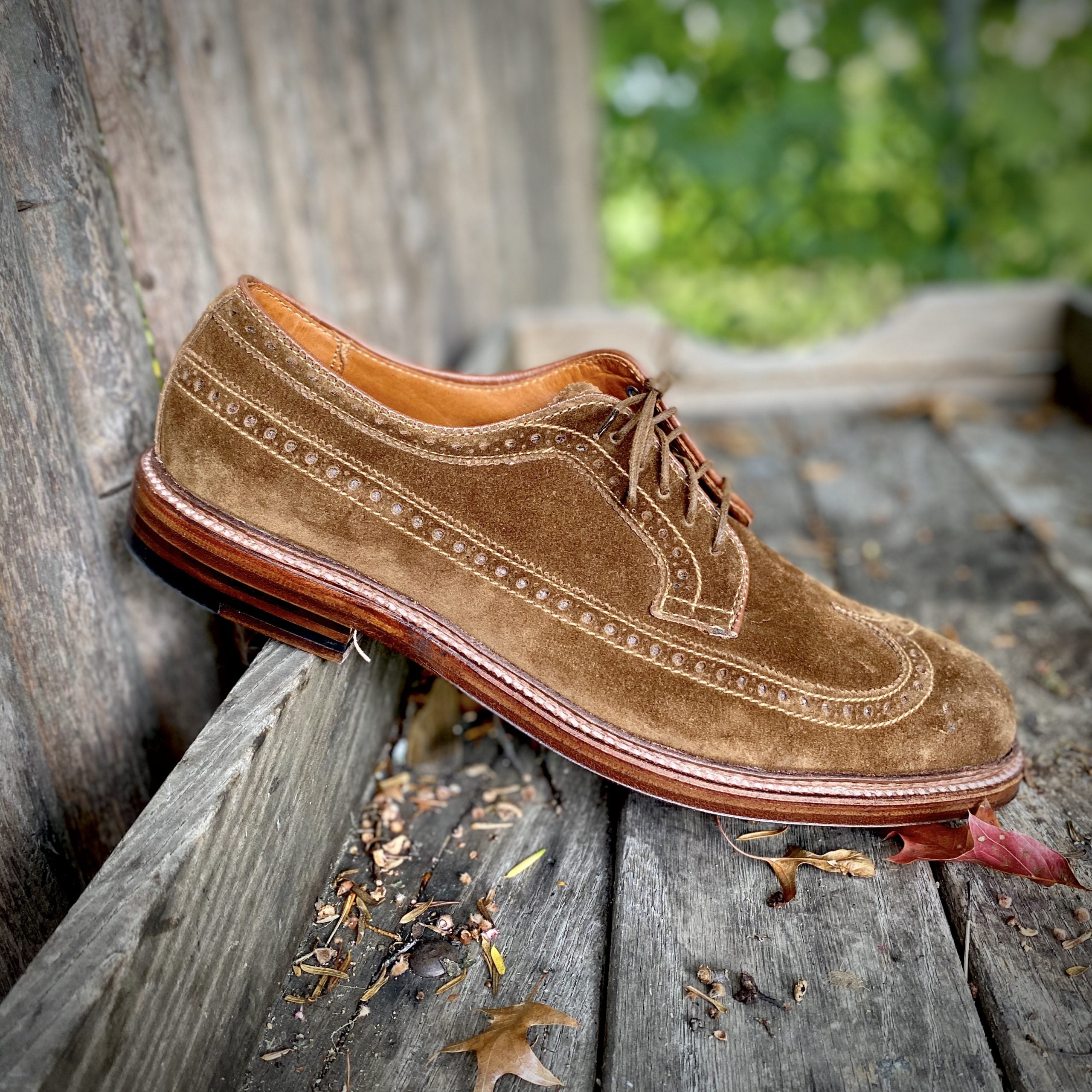  9794 - Long Wing Blucher in Snuff Suede、mySite、preschool7hills