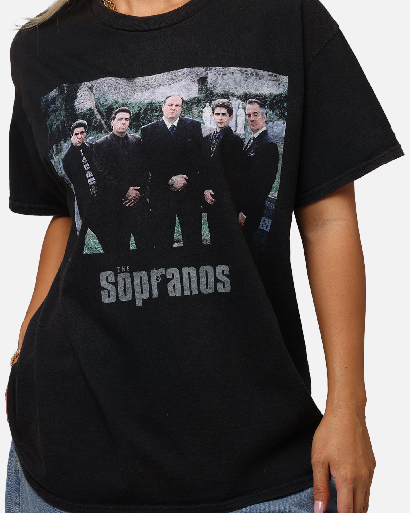 The Sopranos Family Portrait T-Shirt Black Vintage、mySite、zt4zffjzw