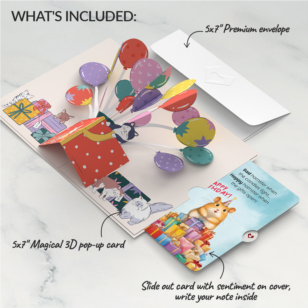 Curious Cats Birthday Pop-Up Card and Happy Hamster Sentiment Set、mySite、solidvoid
