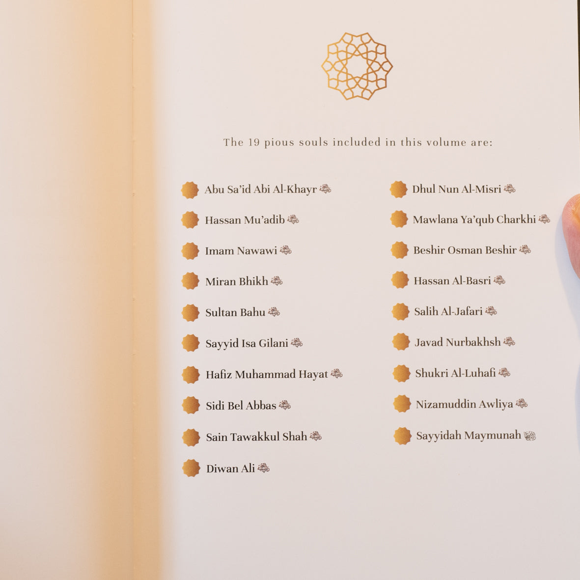 Generous Souls: Revealing the Lives of the Pious, Vol. 1、mySite、topwebapps