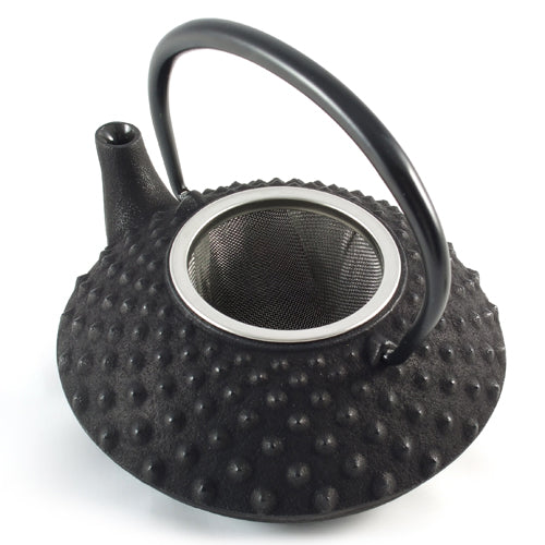 Iwachu Cast Iron Teapot with Hobnail Pattern - 350ml、mySite、topwebapps