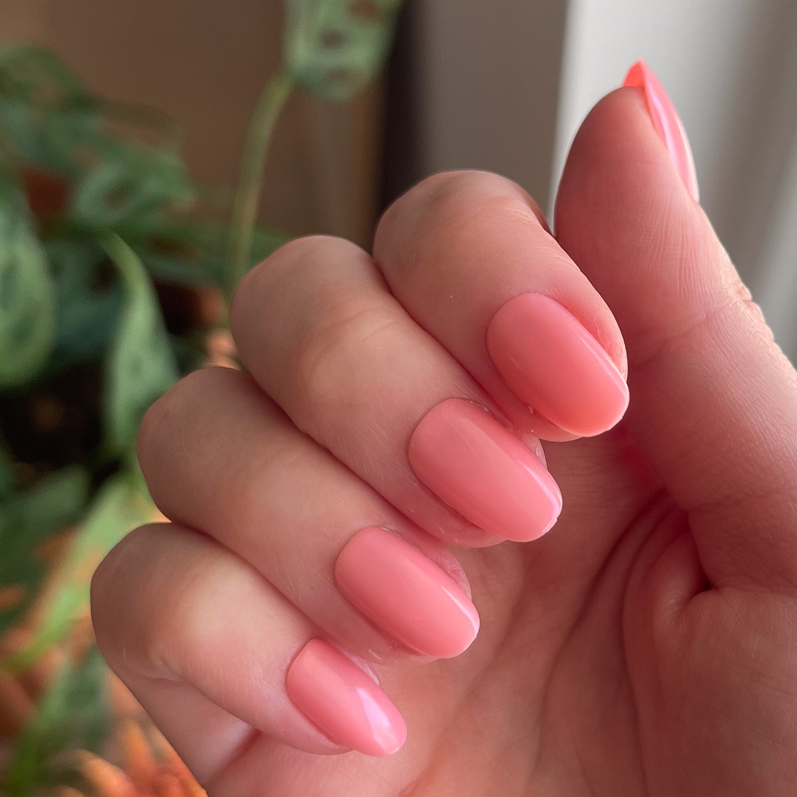 Pen Pal - Press-On | Short | Round、mySite、solidvoid