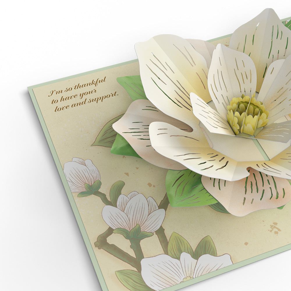 Mother’s Day Magnolia Pop-Up Card、mySite、solidvoid