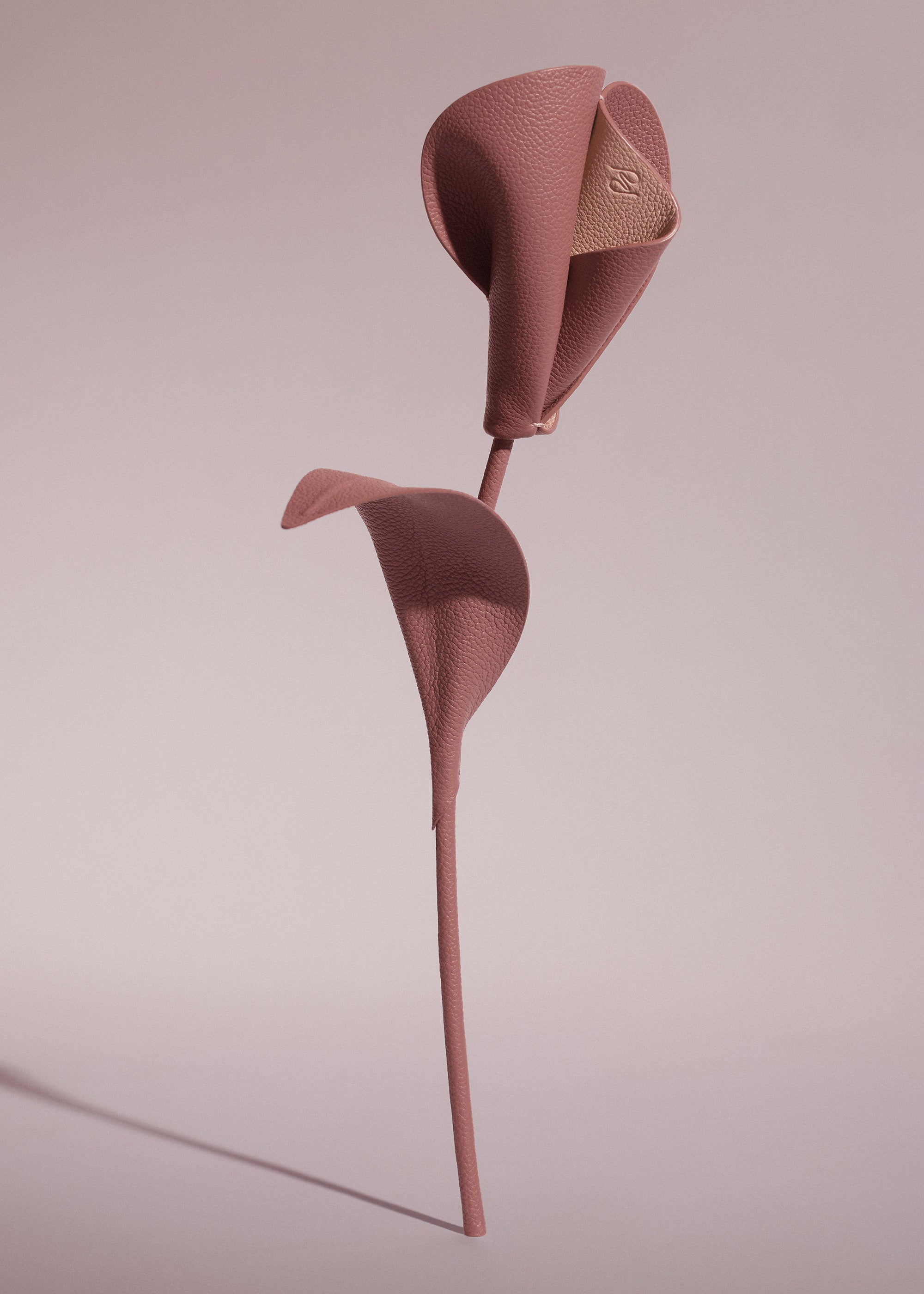 Fleur Pili - Duo Blush Grain茅、mySite、camillekostekn