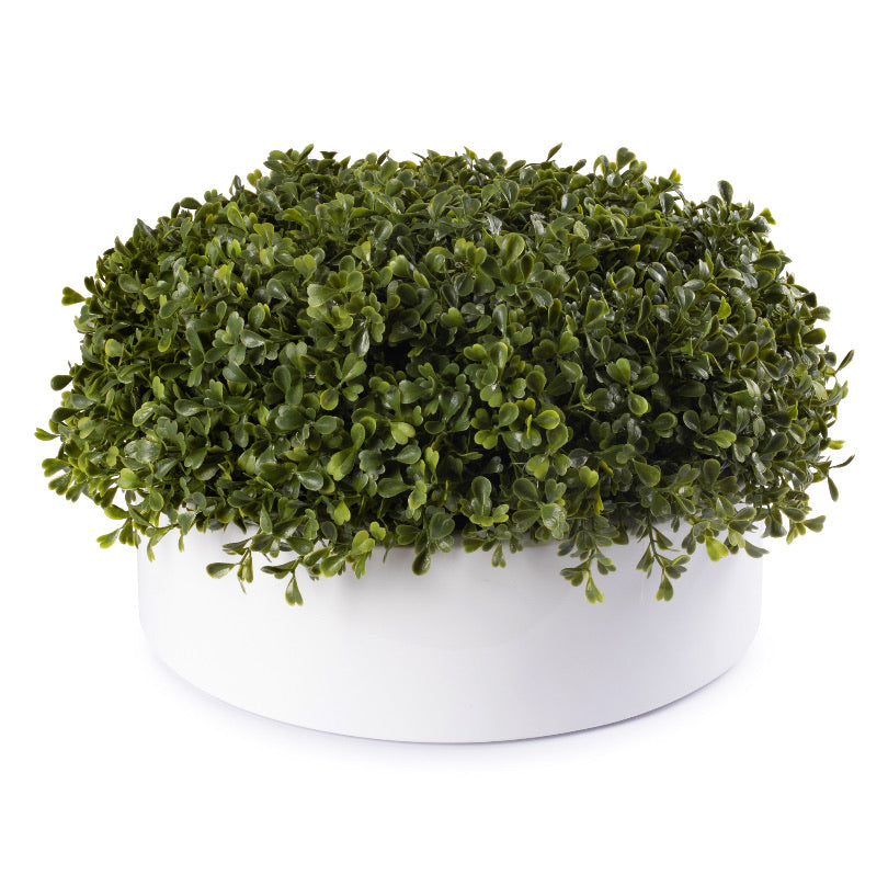  DH White Round Boxwood Pot、mySite、elrpsem3k