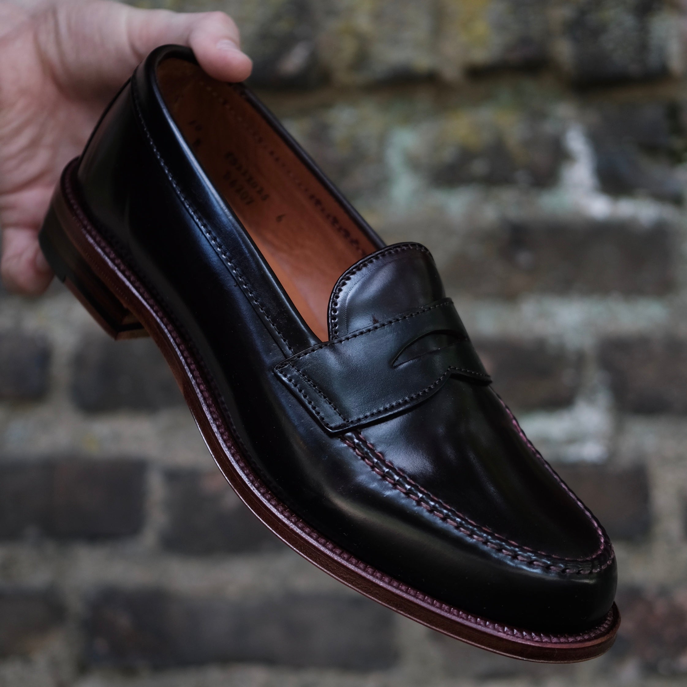  D6207 - Antique LHS in Color 8 Shell、mySite、preschool7hills