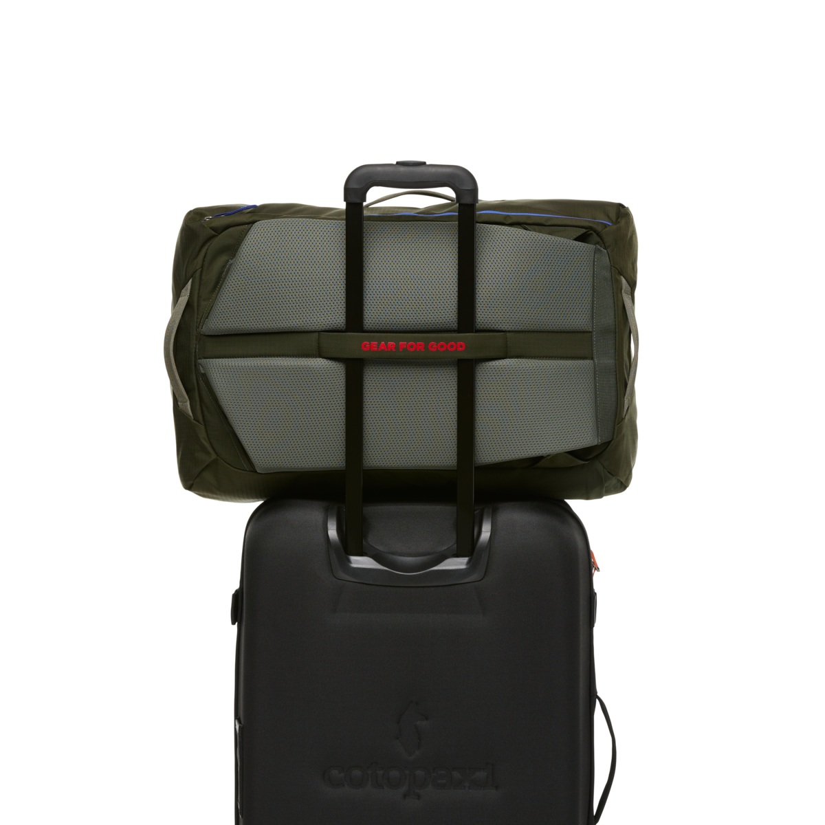 Allpa 42L Travel Pack、mySite、shAllpa 42L Travel Pack、mySite、glenpowelloop_name