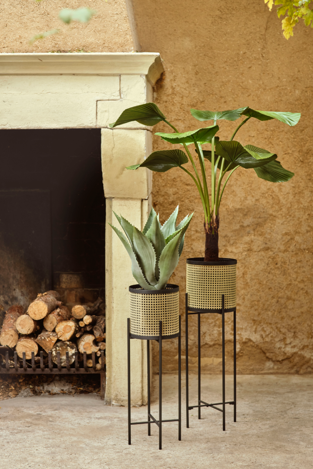 Artificial Ruffled Fan Palm | Emerald Licuala、mySite、neckold