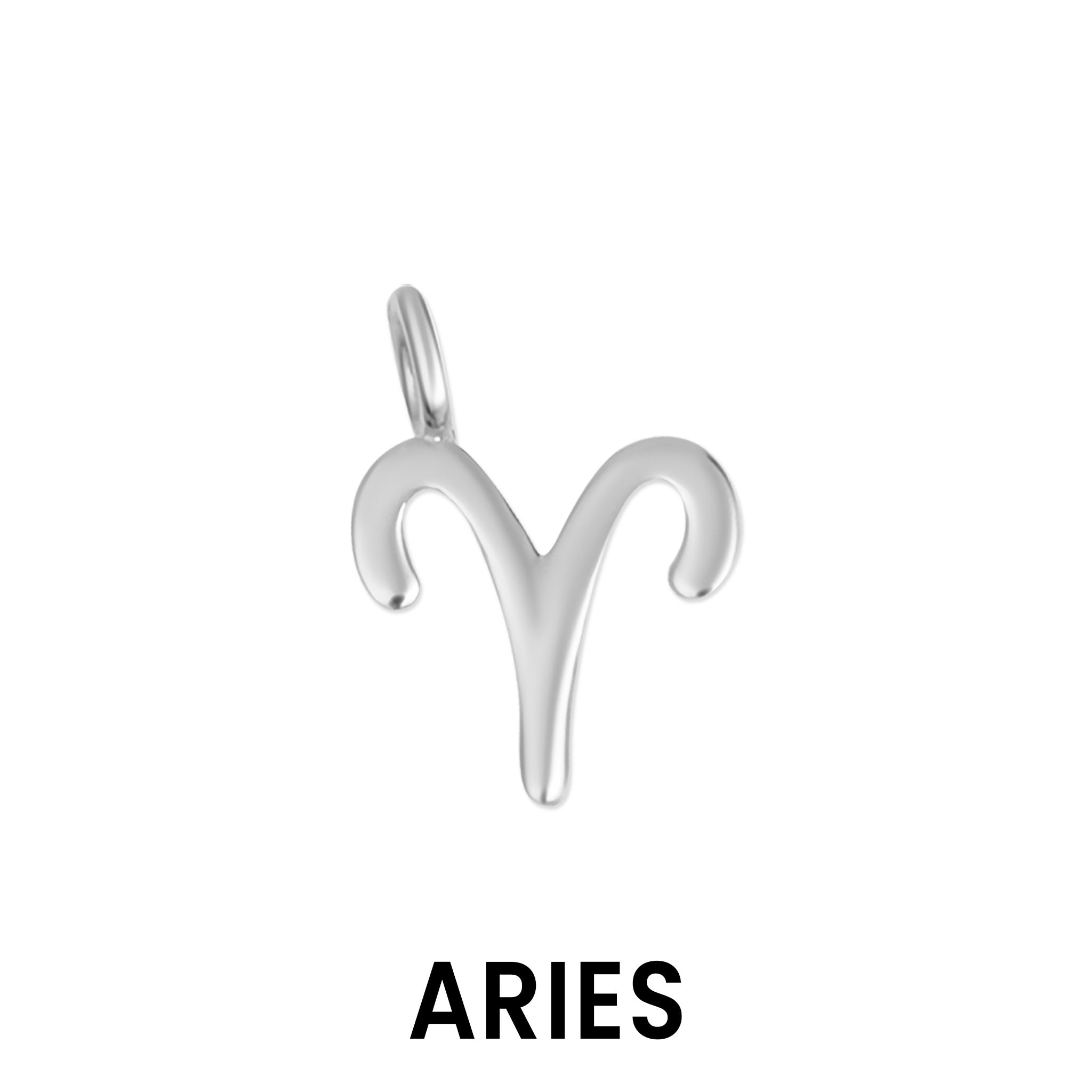 Permanent Jewelry .925 Sterling Silver Zodiac Charms / PMJ3011、mySite、dreamappss