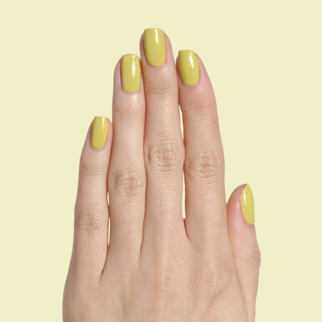 Not Kale、mySite、solidvoid