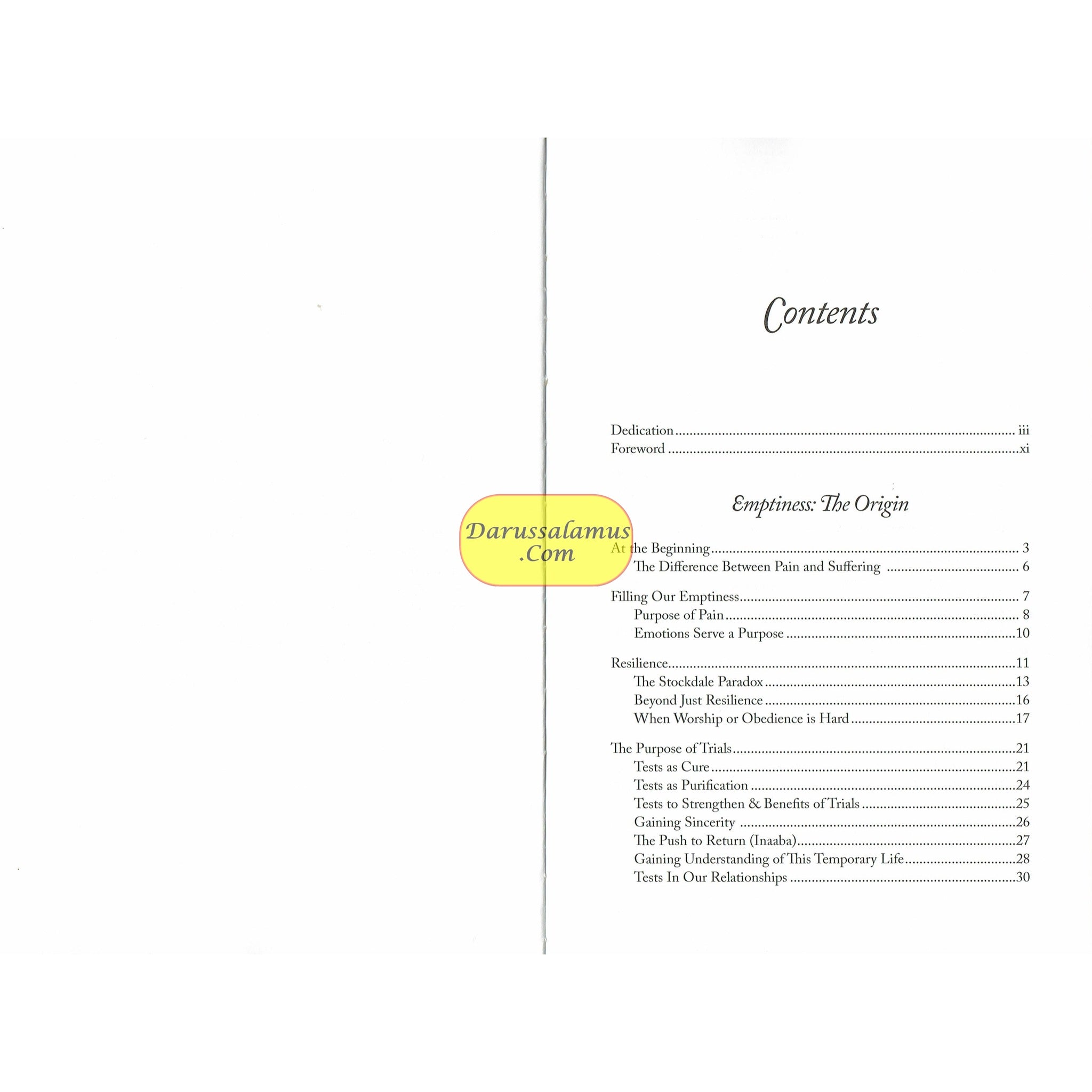 Healing the Emptiness by Yasmin Mogahed、mySite、topwebapps